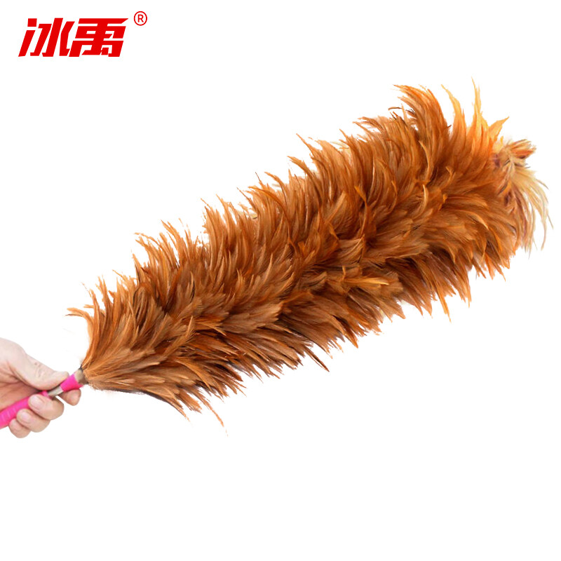 Bingyu BY-1254 Cleaning Feather Duster Stainless Steel Rod Dust Duster Dust Cleaning Tool 1