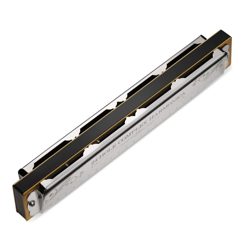 Swan (SWAN) 24-hole polyphonic playing harmonica in C key with phonetic markings for students and adults teaching recommended musical instrument silver