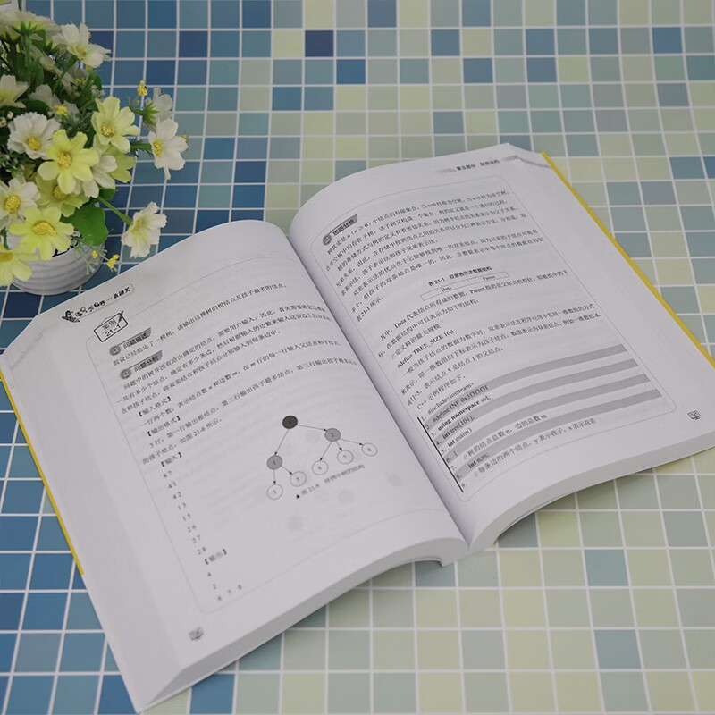 Informatics Olympiad in one book