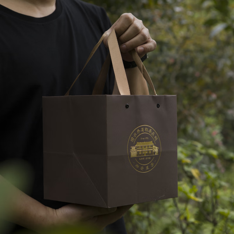 Upward Freedom Anhua Dark Tea Manor Grade Tianjian Tea Furongshan First Grade Pure Material