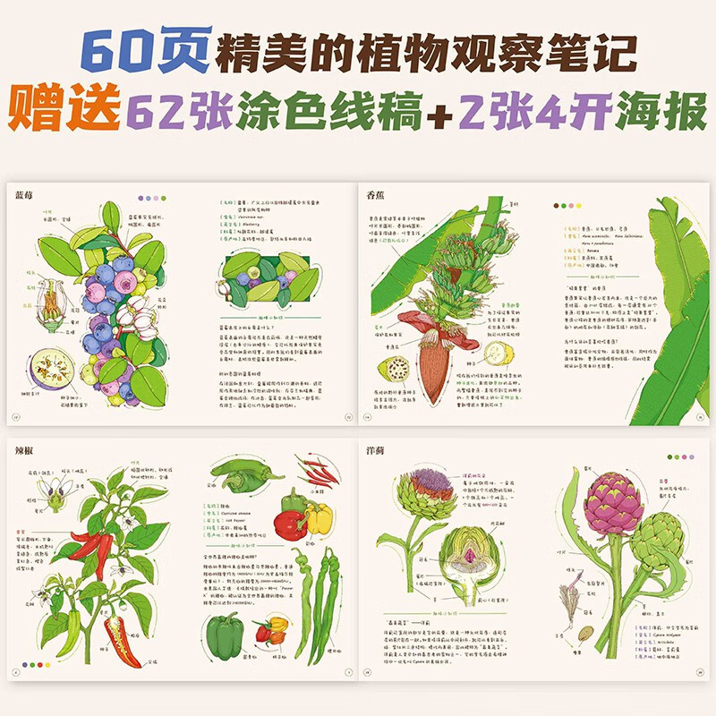 Xiao Che Mama's Fruit and Vegetable Observation Notes for Children (Fruits + Vegetables 2-volume set) is original and high-quality. The book comes with 62 coloring line drawings + 2 large and exquisite posters!