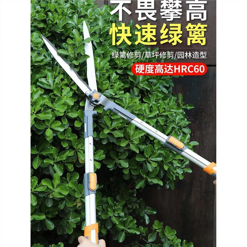 AIRAJ German imported gardening scissors, fruit tree branches, garden lawn pruning shears, Japanese landscaping tools, standard straight blade