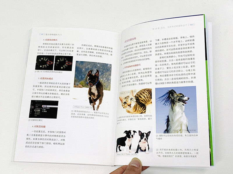 Introduction to Fujifilm Mirrorless Photography