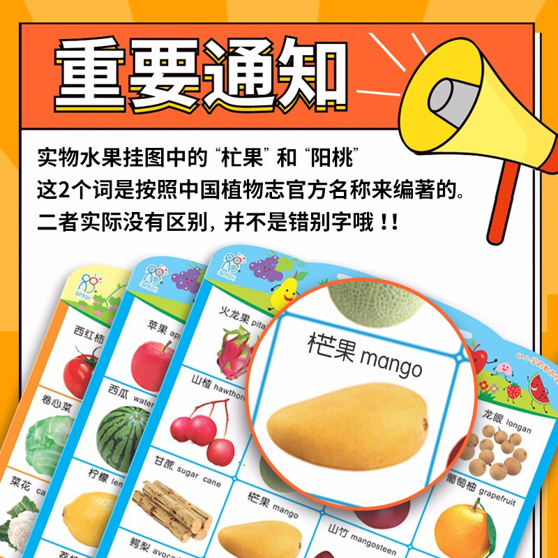 Hairun Sunshine Preschool Education Wall Charts (Set of 22) Chinese and English Bilingual Early Education Enlightenment Toys Animal Pinyin Vegetables and Fruits Number Recognition Extracurricular Books Extracurricular Independent Reading Holiday Books