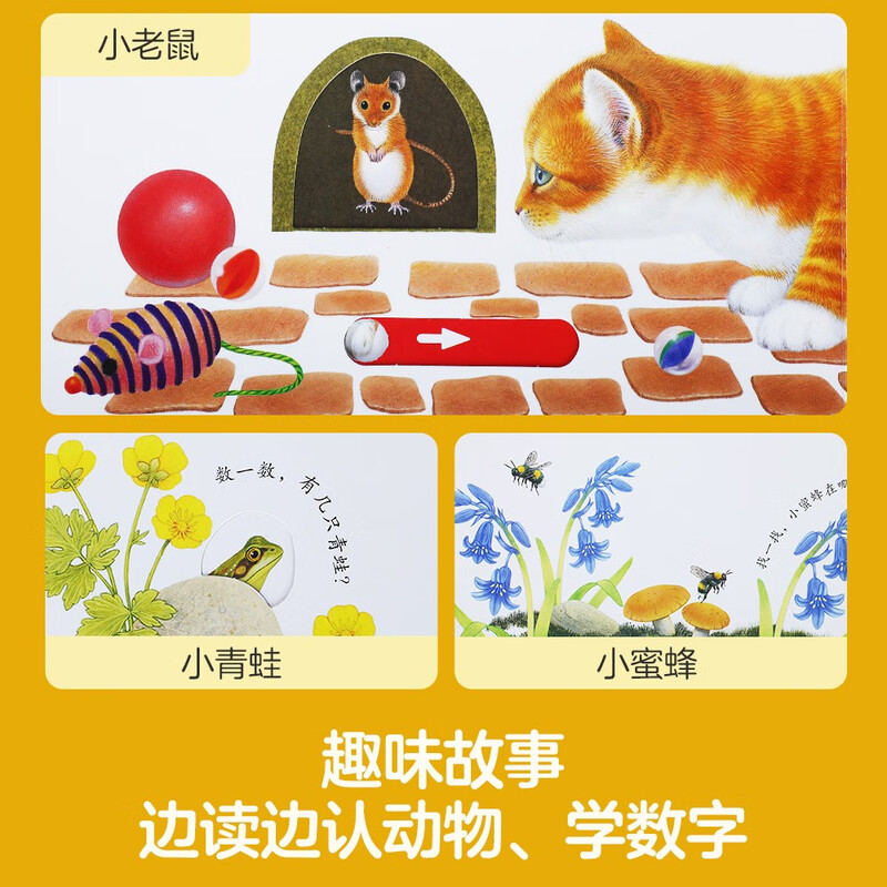 15 off for purchases over 74, Curious Kitten - Animal Friends Finger Push and Pull Book, 0-2 years old, Happy Children's Book, Story Book, Mechanical Book, Money Saving Card