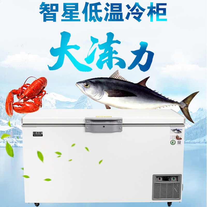 Zhixing ZX ultra-low temperature freezer minus 40 horizontal household deep-freezing quick-frozen dry ice preservation tuna seafood commercial industrial scientific research biological laboratory large-capacity sea fishing refrigerator DW-510 (-45) ordinary model