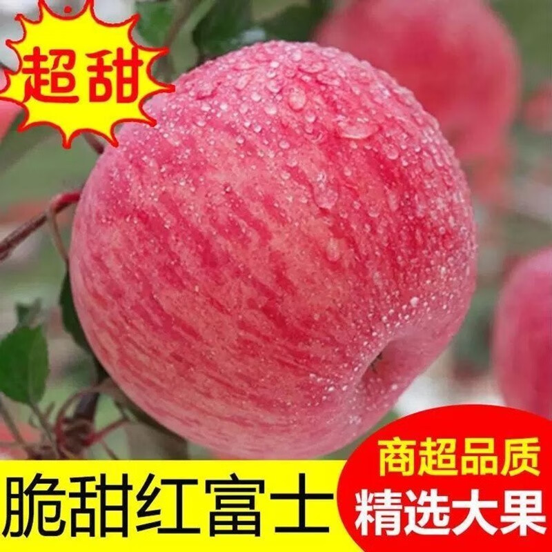Erdie Shaanxi Red Fuji Apple Fresh Fruit 10 Jin Rock Candy Heart Seasonal Ugly Apple Seasonal Fruit Crisp Sweet Whole Box Selected 9 Jin Pack Net Weight 8.5 Jin 70-75mm