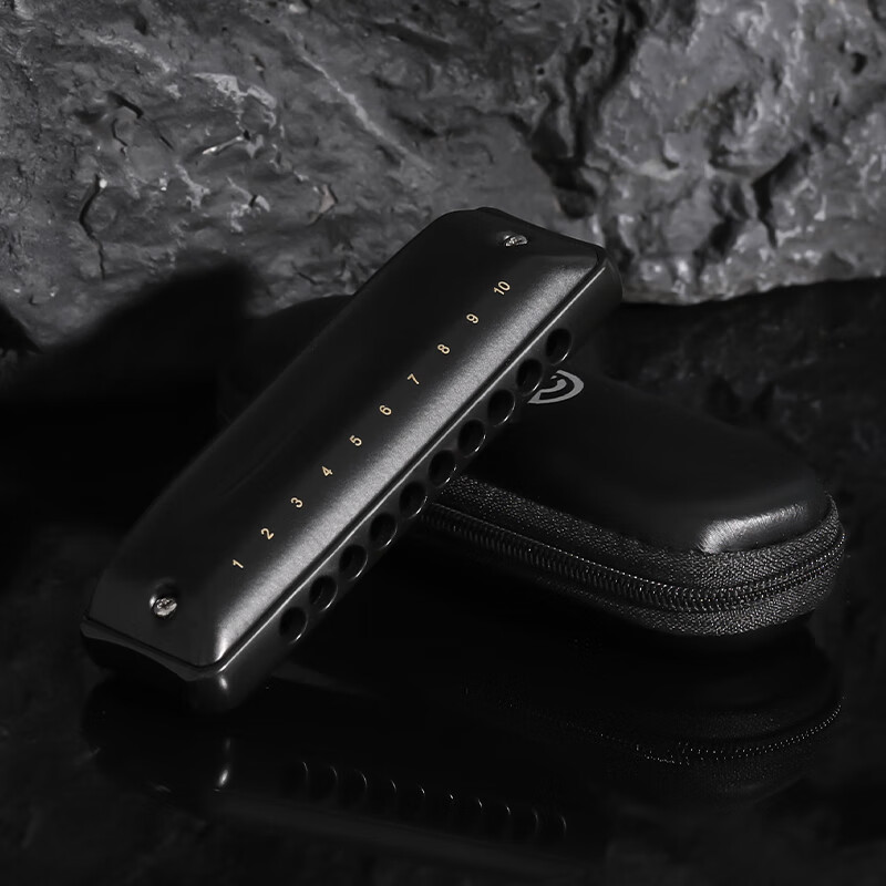 JDR blues blues ten-hole harmonica paddy scale C key NinJa ninja beginner adult performance level