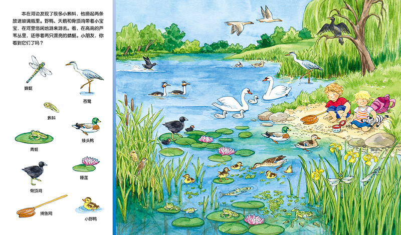 Click-to-read version of Animal Discovery, 1-4-year-old children's concentration training game book, baby's concentration 1000 visual discovery, early education enlightenment picture book, tear-resistant board book, supports old version of Little Monkey Skin Point Reading Pen