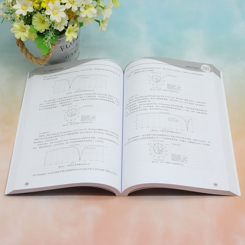 CST simulation design theory and practice