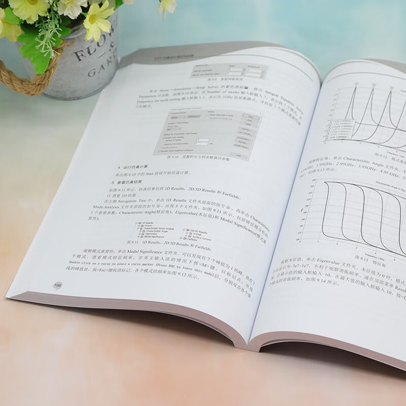 CST simulation design theory and practice