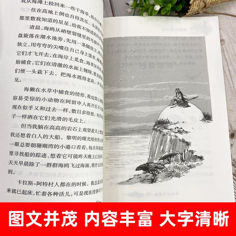 New upgraded version Blue Dolphin Island International Award Novel Series International Andersen Award Newbery Gold Medal for Children's Literature Books for Grades 3, 4, 5 and 6 Elementary School Students' Extracurricular Reading Books Children's Literature