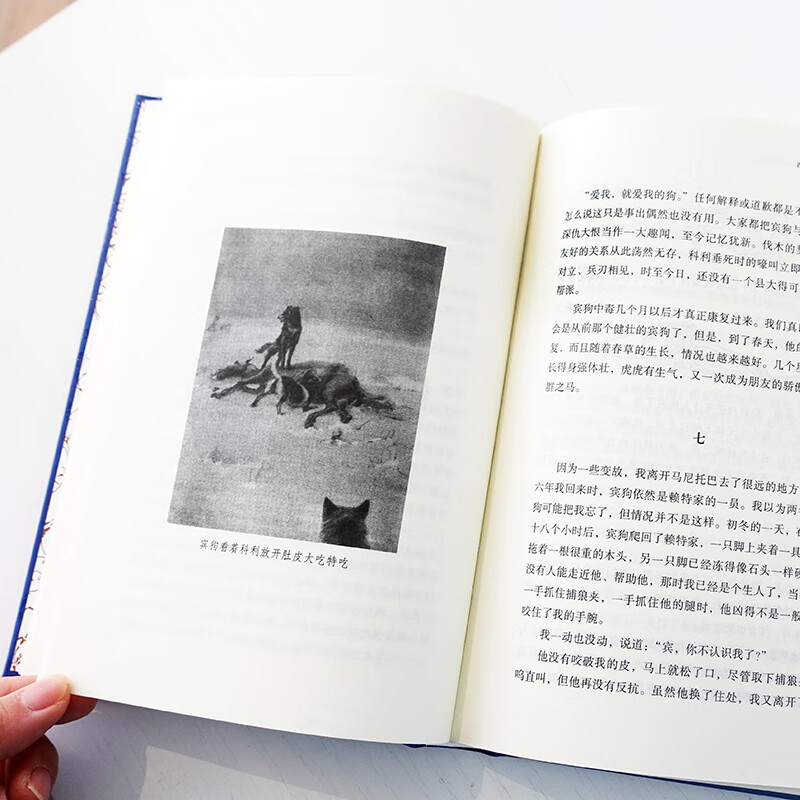 Seton Wild Animal Stories Collection Original Unabridged Hardcover Edition Yilin Publishing House Primary School Reading Books for Grades 3, 4, 5 and 6 Extracurricular Reading Books