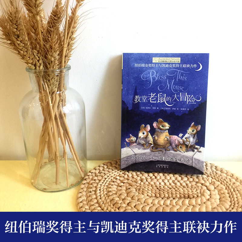 The Ivy International Award-winning novel The Adventures of Church Mouse, a must-read for elementary and middle school students in grades 3, 4, 5 and 6 with themes such as bravery and leadership. Extracurricular reading of the International Children’s Literature Award classics that influence children’s lives.