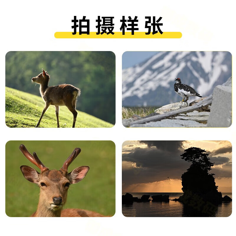 Nikon NIKKOR Z mount lens Mirrorless camera zoom lens Z62/Z72 and other Nikon Z series mirrorless cameras suitable for Z100-400mm f/4.5-5.6VR S standard