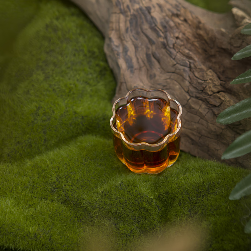 Upward Freedom Anhua Dark Tea Manor Grade Tianjian Tea Furongshan First Grade Pure Material