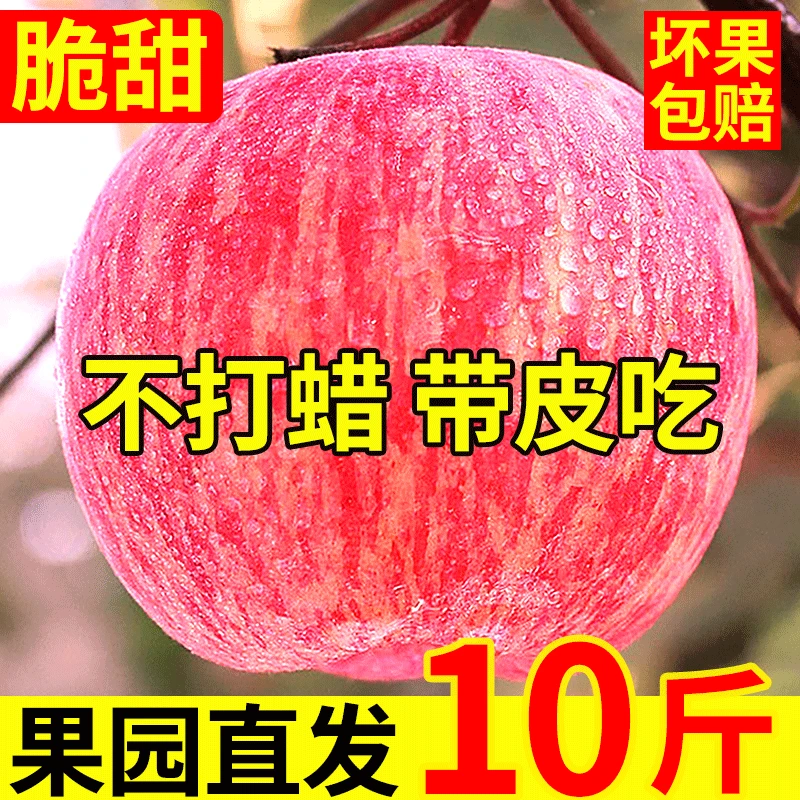 Erdie Shaanxi Red Fuji Apple Fresh Fruit 10 Jin Rock Candy Heart Seasonal Ugly Apple Seasonal Fruit Crisp Sweet Whole Box Selected 9 Jin Pack Net Weight 8.5 Jin 70-75mm