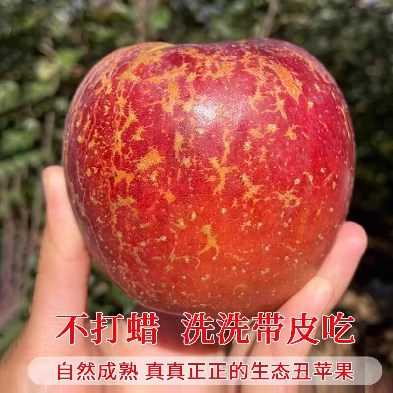 Jingmi Sichuan Daliangshan Ugly Apple, 8 pounds net, single fruit 85mm+, fresh fruit rock candy heart apple, straight from the source