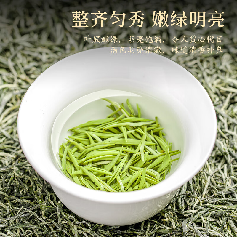 Pinruji Green Tea Maojian Tea 2025 New Tea Xinyangmingqian Young Bud Spring Tea for Elders and Leaders Gift Box 250g