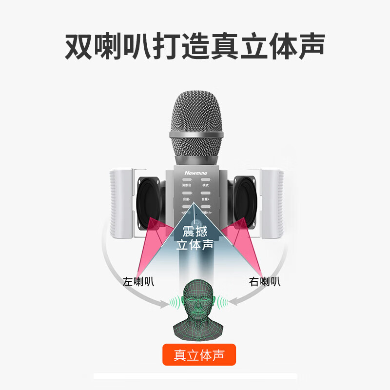 Newmine MC10 Wireless Microphone, Karaoke Microphone and Audio All-in-one Comes with Sound Card, Radio Microphone, Little Bee Amplifier Explainer, Bluetooth Singing Entertainment Artifact, Rose Gold