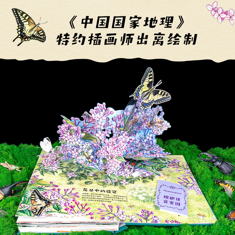 Diary of Insects pop-up book, natural science enlightenment, parent-child reading (10 large spread pages, 38 three-dimensional interactions, 50 insects, hundreds of knowledge points, shocking presentation of Fabre's 