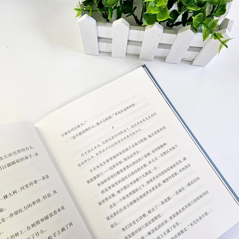 Wang Yimei's children's book classic long fairy tale - Mole's Moon River Extracurricular reading Reading Extracurricular books winter vacation assignments Winter vacation transition from primary school to junior high school Winter vacation transition from primary school to junior high school