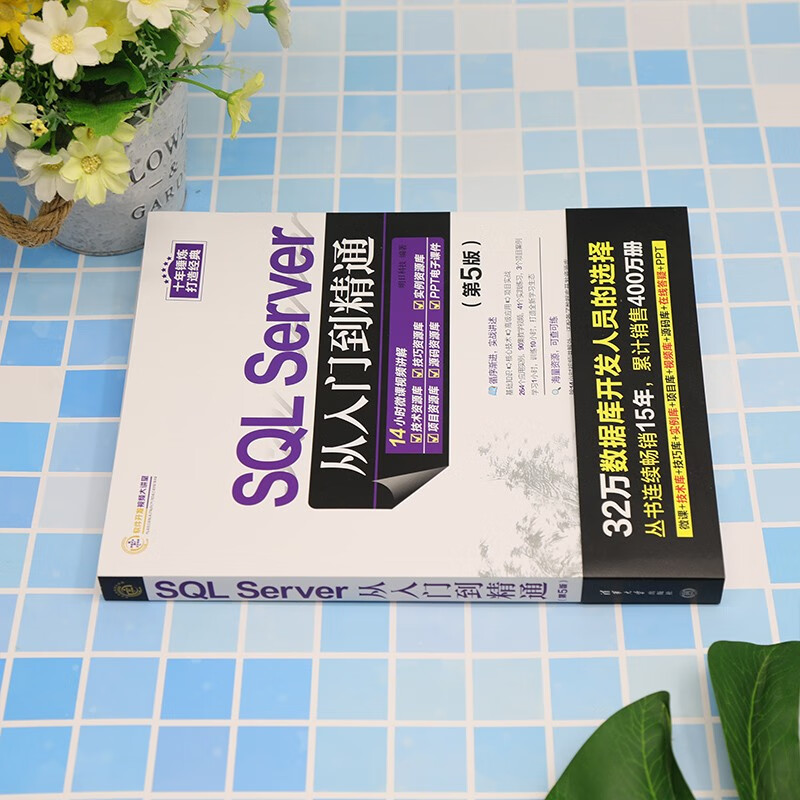 SQL Server from Beginner to Master (5th Edition)/Software Development Video Lecture