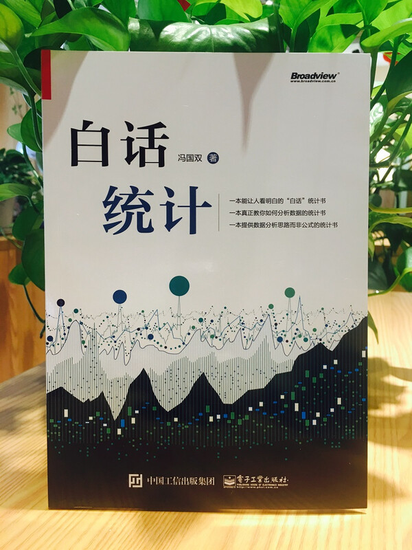 Vernacular Statistics (produced by Bowen Viewpoint)