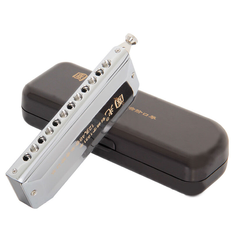 Guoguang 12-hole 48-note round mouthpiece chromatic harmonica (silver)