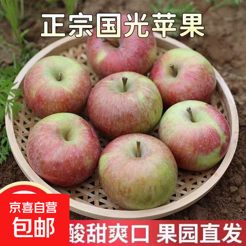 Fresh small Guoguang apple Northeastern authentic old tree Guoguang apple sour and sweet seasonal fruit for pregnant women 9-9.5 catties small fruit (with box)