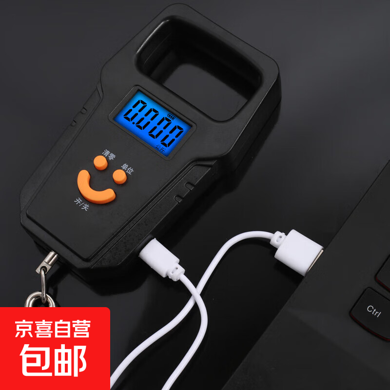 New Mini Electronic Scale Express Scale Spring Weighing 50kg Convenient Portable Rechargeable Electronic Scale Hook Scale Black Rechargeable Model 50kg/g