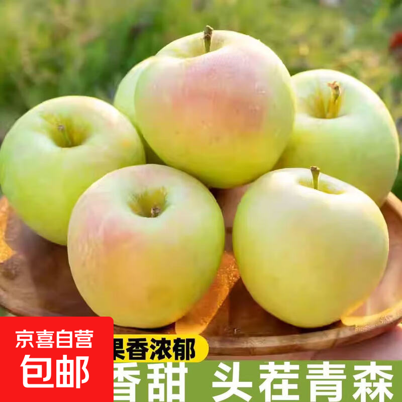 Shandong Apple Aomori Green Apple, sour, crisp, juicy, fresh seasonal fruit for pregnant women and children, whole box orchard, 2 catties in box (60-65mm)