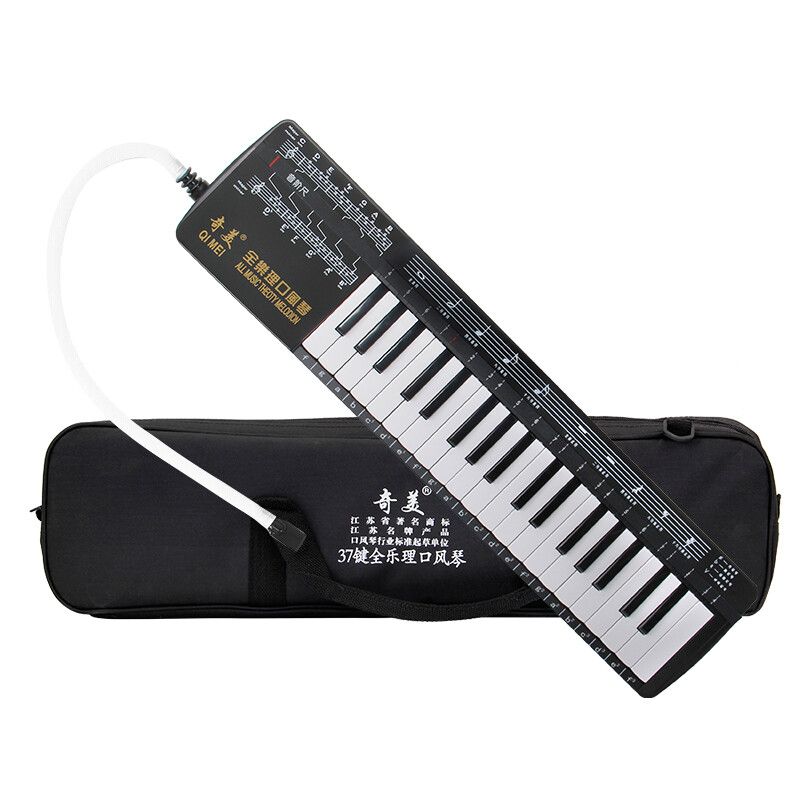 Chimei 37-key full music theory classroom teaching recommended mouth organ (black/interval ruler/playing instructions)