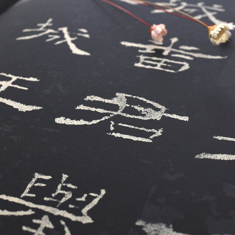 Ten Thousand Volumes of China, Excellent Chinese Calligraphy Steles and Inscriptions, Official Script Eastern Han Dynasty Ritual Steles, Brush Calligraphy Original Inscriptions and Rubbing Copies, Adult Students Copying Ancient Inscriptions, Simplified Chinese Marginal Notes