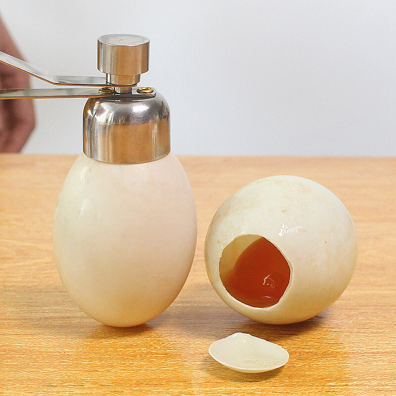Necooks glutinous rice egg opener 304 stainless steel egg shell opener egg cutter creative egg cracker egg beating tool 2.5cm egg opener with egg tray