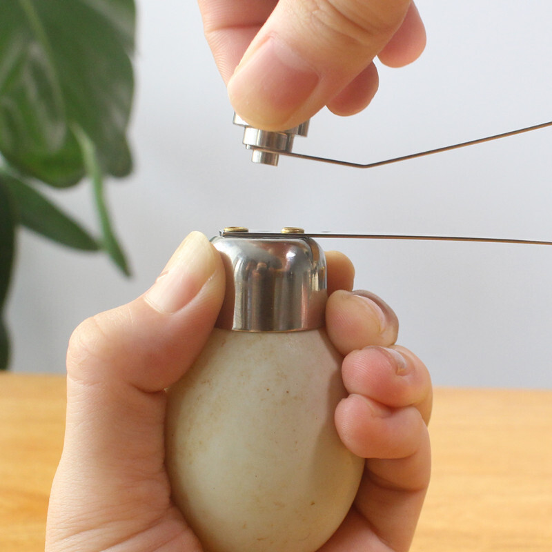 Necooks glutinous rice egg opener 304 stainless steel egg shell opener egg cutter creative egg cracker egg beating tool 2.5cm egg opener with egg tray
