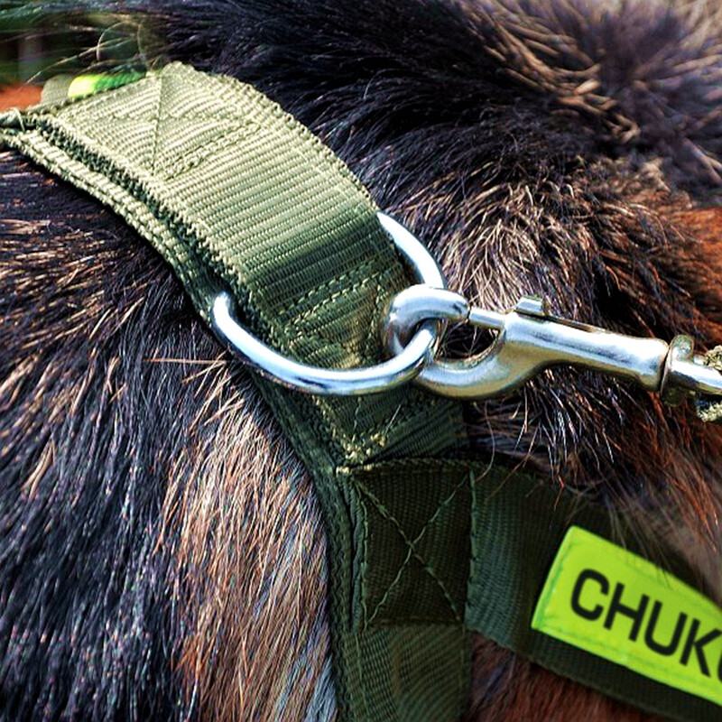 Chukchi (CHUKCHI) dog leash harness, medium and large dog chain, pet walking leash, German shepherd golden retriever, widened when going out, military green