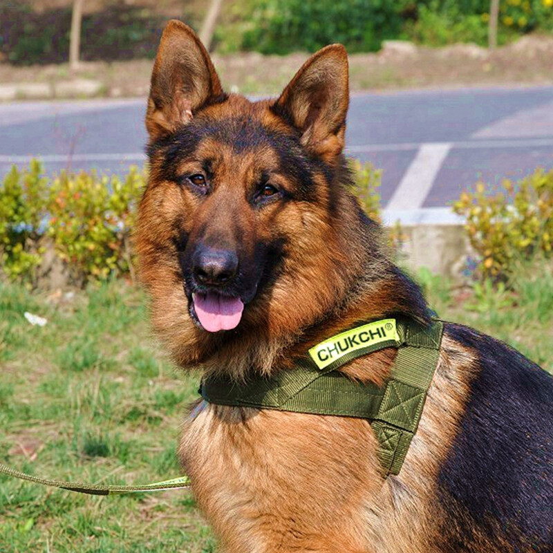 Chukchi (CHUKCHI) dog leash harness, medium and large dog chain, pet walking leash, German shepherd golden retriever, widened when going out, military green