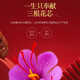 七芝堂西藏藏红花补品养生送父母长辈的礼物 藏红花10g（头茬特级-A级）