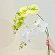 Flower e-flow Phalaenopsis artificial flower fake flower table decoration light luxury high-end flower arrangement dining table floral decoration home decoration 2 branches green smoke + gourd round bottle
