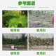 One-seven hoe 41% glyphosate isopropylamine salt weed killer orchard weed dead root killer glyphosate pesticide herbicide 5kg