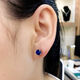 Sapphire earrings, 925 silver inlaid with colored sapphire corundum, tanzanite plated, elegant Korean women, a pair of blue earrings