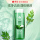 Bee Flower Aloe Vera Shampoo Hidrating Aloe Vera Té verde Hidratando y eliminando aceites para hombres y mujeres crema de champú 500ml
