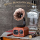 Starry Sky Deer New Creative Retro 3D Wireless Bluetooth Speaker Gramophone Mini Card USB Drive Portable FM Radio Computer Original Wooden Audio Mobile Speaker Bass Gift Brand New Walnut [can be plugged in USB Drive/connected to computer]