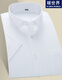 Prenomen Short à manches à manches pour hommes jeunes étudiants minces commerciales décontractées sans fer de travail de travail de travail professionnel blanc pur sans poches (tiré une taille plus grande) 42 / 3xl