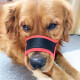 Dog muzzle, dog mask, anti-biting, anti-barking, anti-barking device for large, medium and small dogs, anti-eating pet, golden retriever dog mask, adjustable size muzzle, warranty card