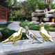 Juyanghui simulated pigeon ornaments animal sculptures imitation stainless steel copper bird swallows outdoor courtyard garden interior decorations a pair of electroplated silver
