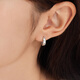 Lukfook Jewelry Platinum 950 Sparkling Platinum Earrings Earrings Price G07TBPE0010 2.62g (including labor cost 236 yuan)