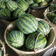 Shouhe crunchy type 8424 watermelon seeds, early mature, thin-skinned, summer and autumn seeds, watermelon seeds, 8424 watermelon seeds, 40 seeds + 10 seedlings