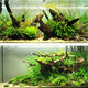 
Spring and autumn carp tank landscaping small ornaments for sunken wood stump purple teak small arch bridge sunbathing platform to avoid hermit crab climbing 1098